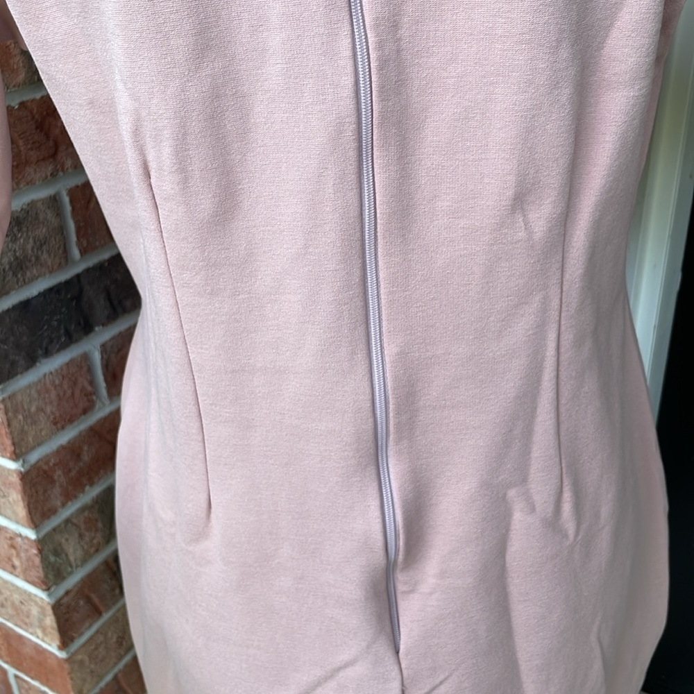 Charlotte‎ Russe + Stretch Dress - Picture 6 of 10